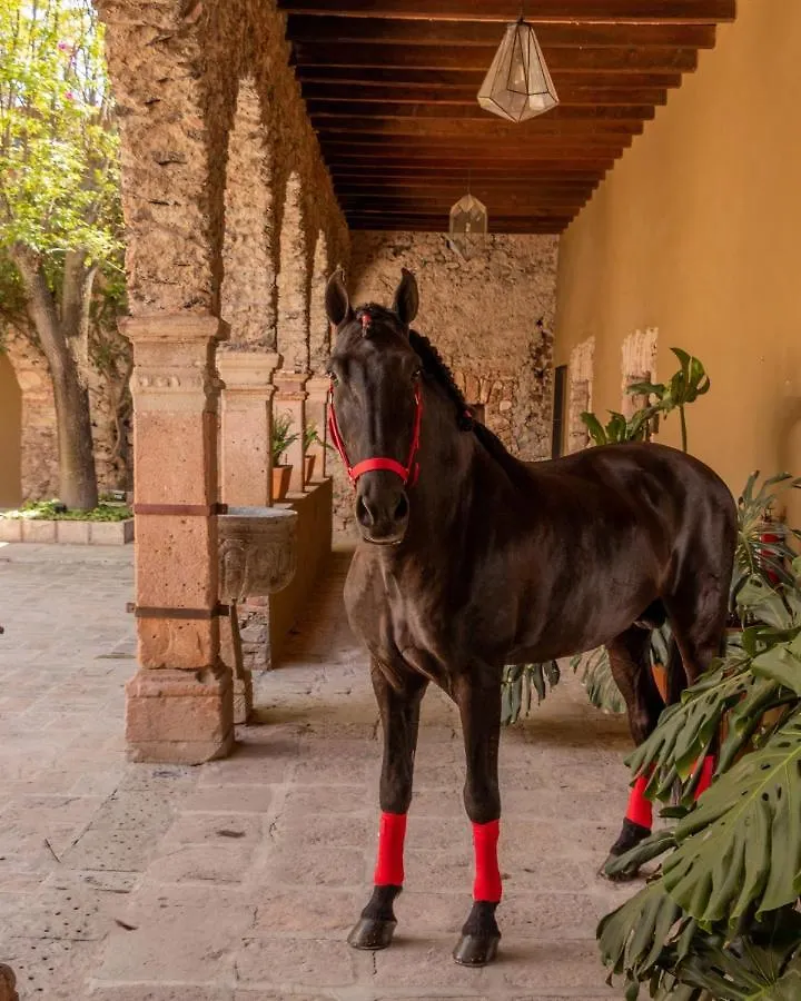 Hacienda El Salitre Hotel & Spa Queretaro