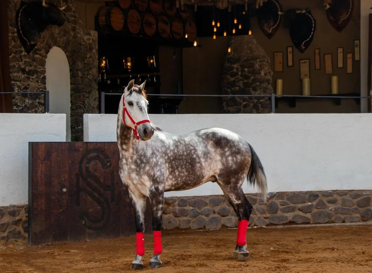 Hacienda El Salitre Hotel & Spa Queretaro