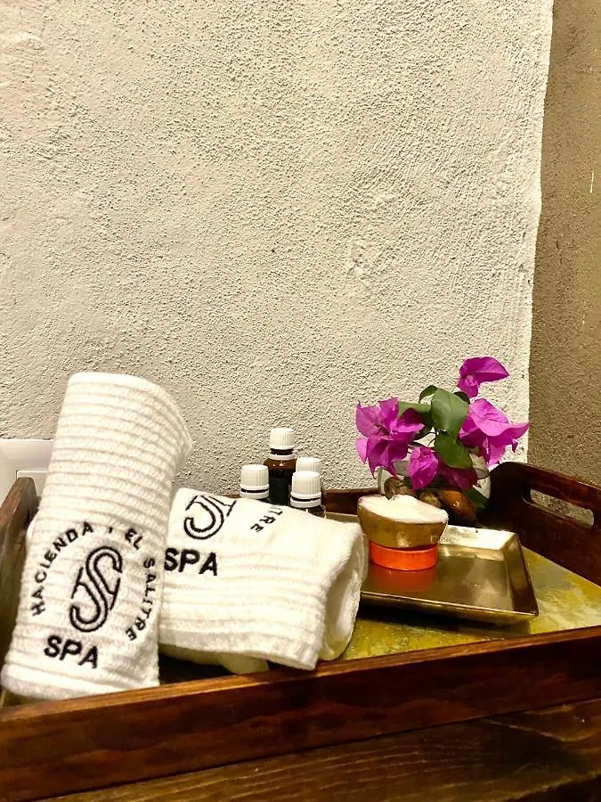 Hacienda El Salitre Hotel & Spa Queretaro